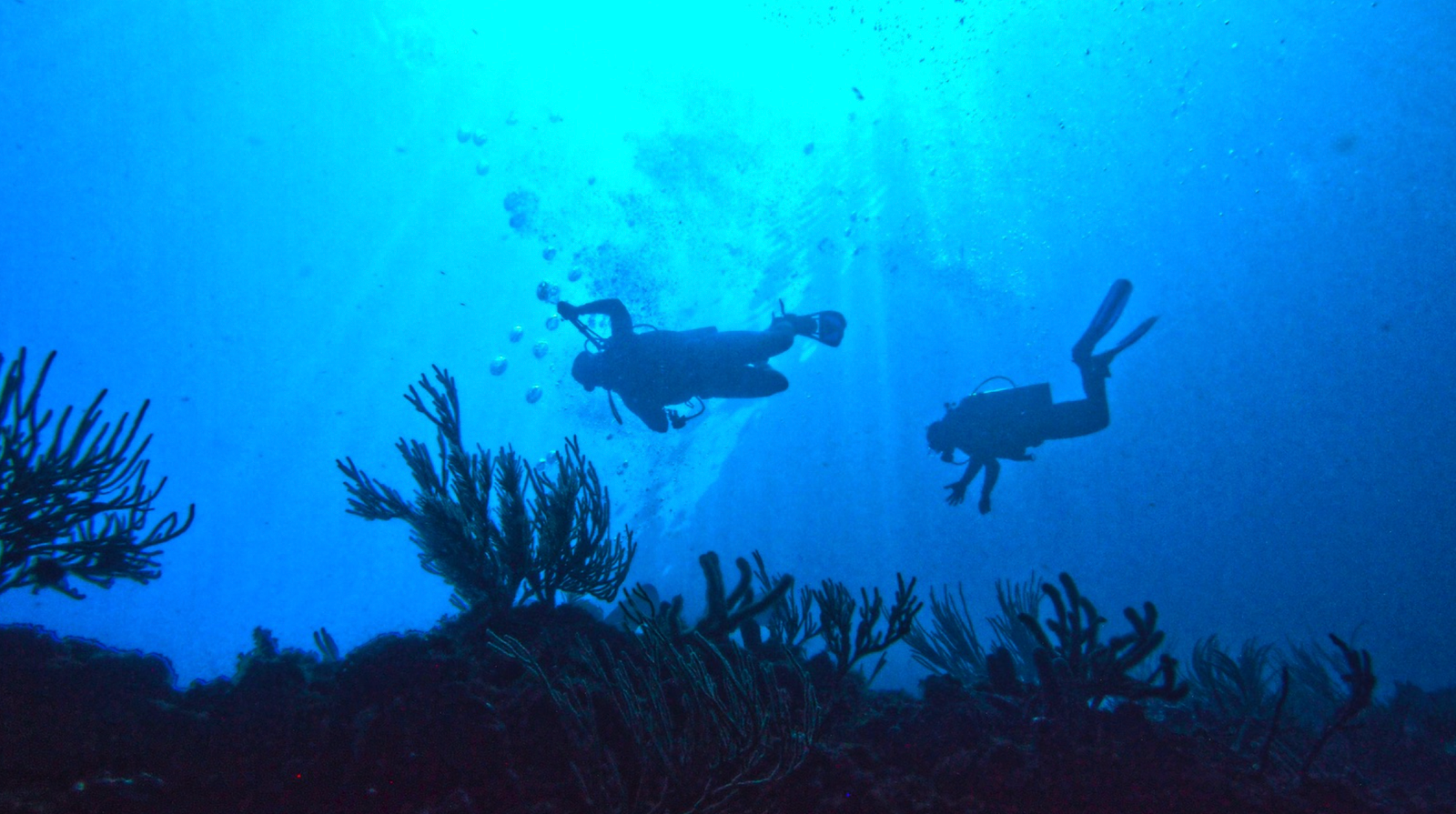 Mini Curso de Buceo